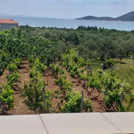 Apartment Apartments Antonela With Sea View Tribunj (Sibenik-Knin)