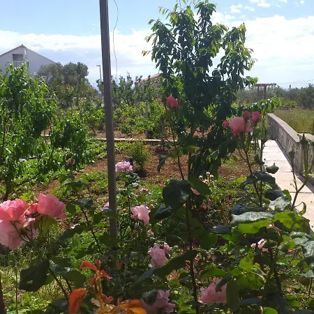 Antonela With Seavies *