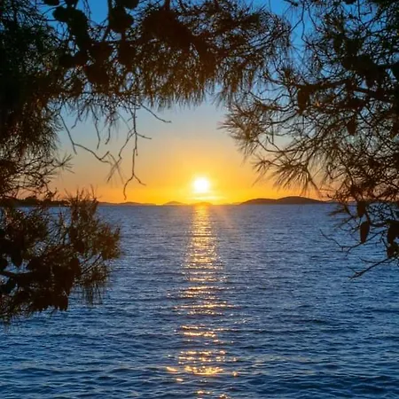 Antonela With Seavies Tribalj