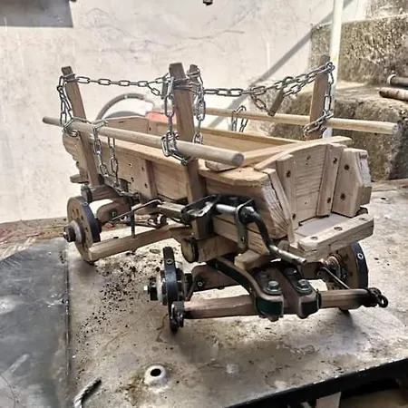 Antonela With Seavies * Tribalj