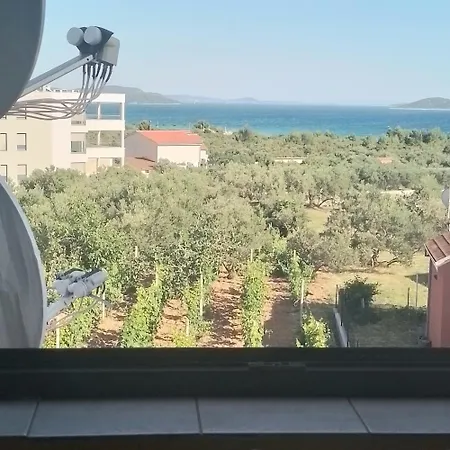 Antonela With Seavies *