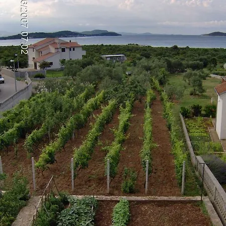 Antonela With Sea View