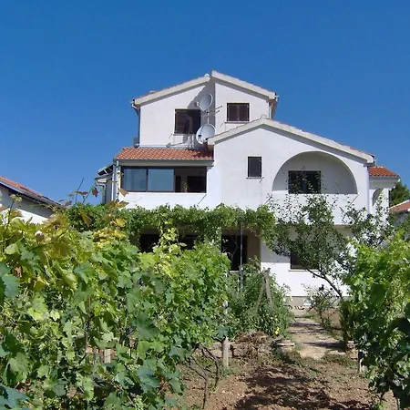 Antonela With Seavies Tribalj