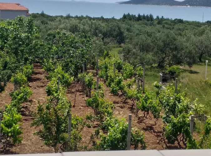 公寓 Antonela With Seavies Tribalj