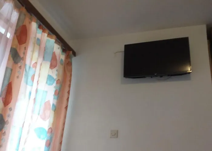 Antonela With Seavies *