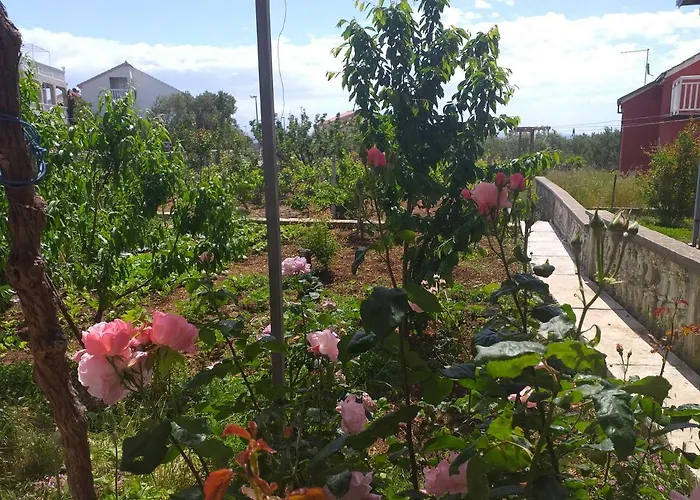 Antonela With Seavies *