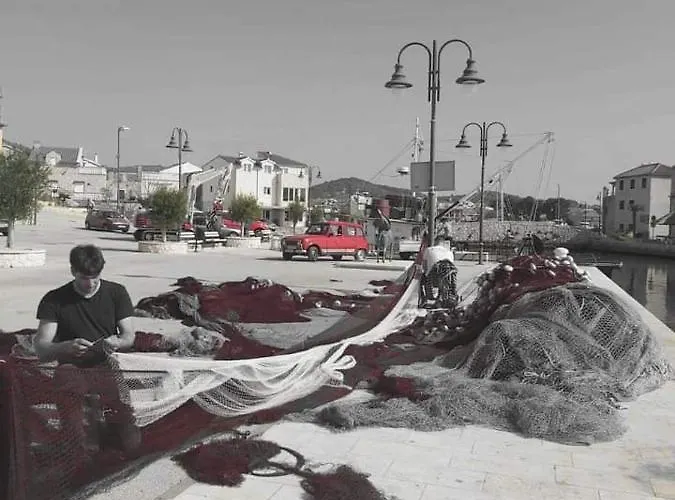 Antonela With Seavies Tribalj