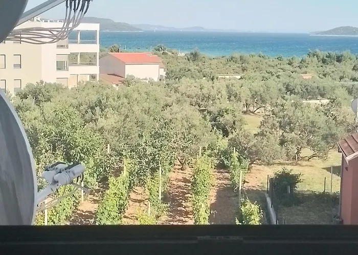 Antonela With Seavies *