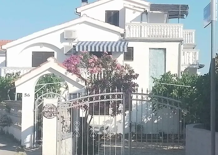 Antonela With Seavies *