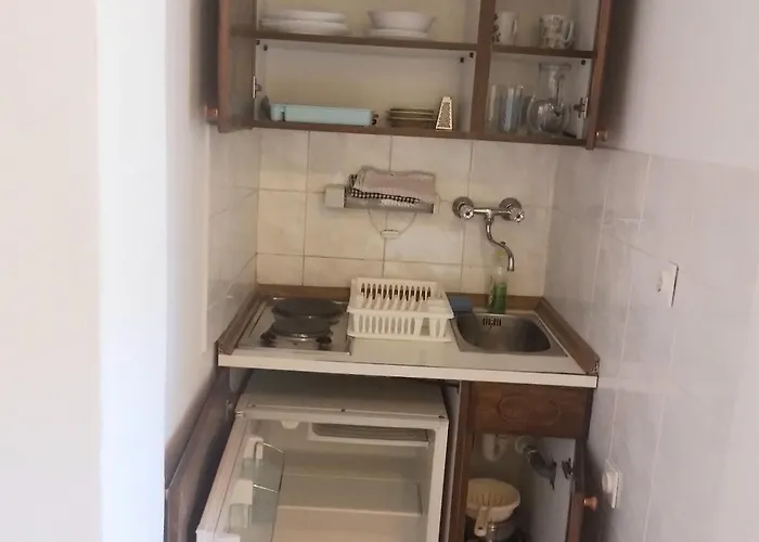 Antonela With Seavies * Tribalj