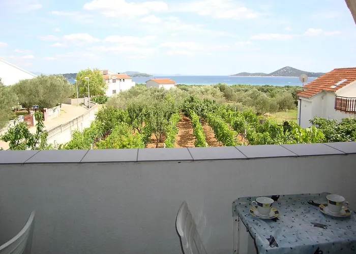 Antonela With Seavies *