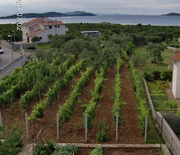 Antonela With Seavies