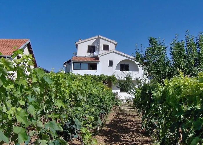 Antonela With Seavies