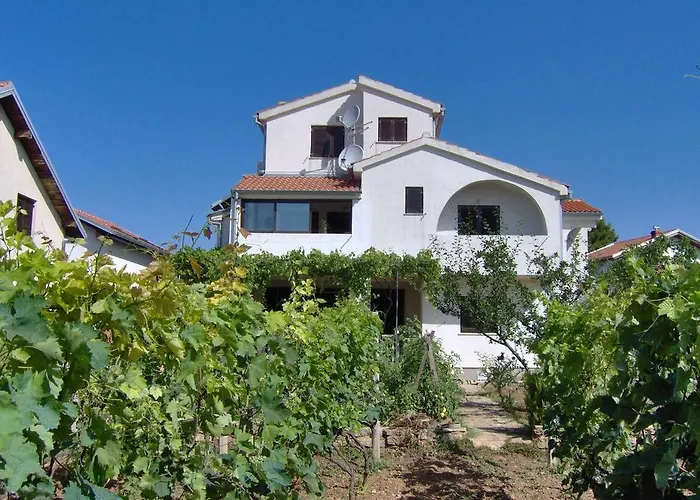 Antonela With Seavies Tribalj